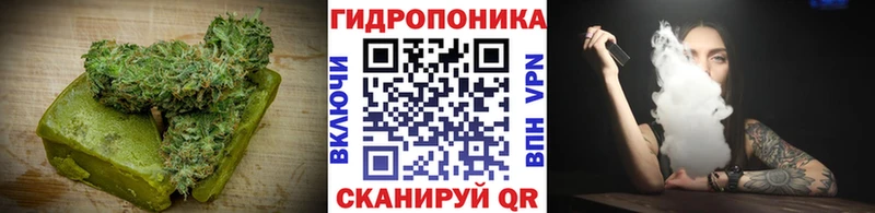 Cannafood конопля Вологда