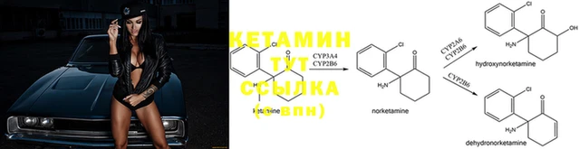 a pvp Абаза