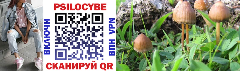 Галлюциногенные грибы GOLDEN TEACHER  kraken как войти  Вологда 